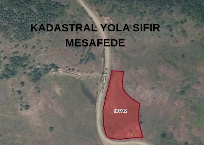 Fotoğraf